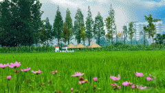 的工做人员按《事业单元人事办理条例》及相关